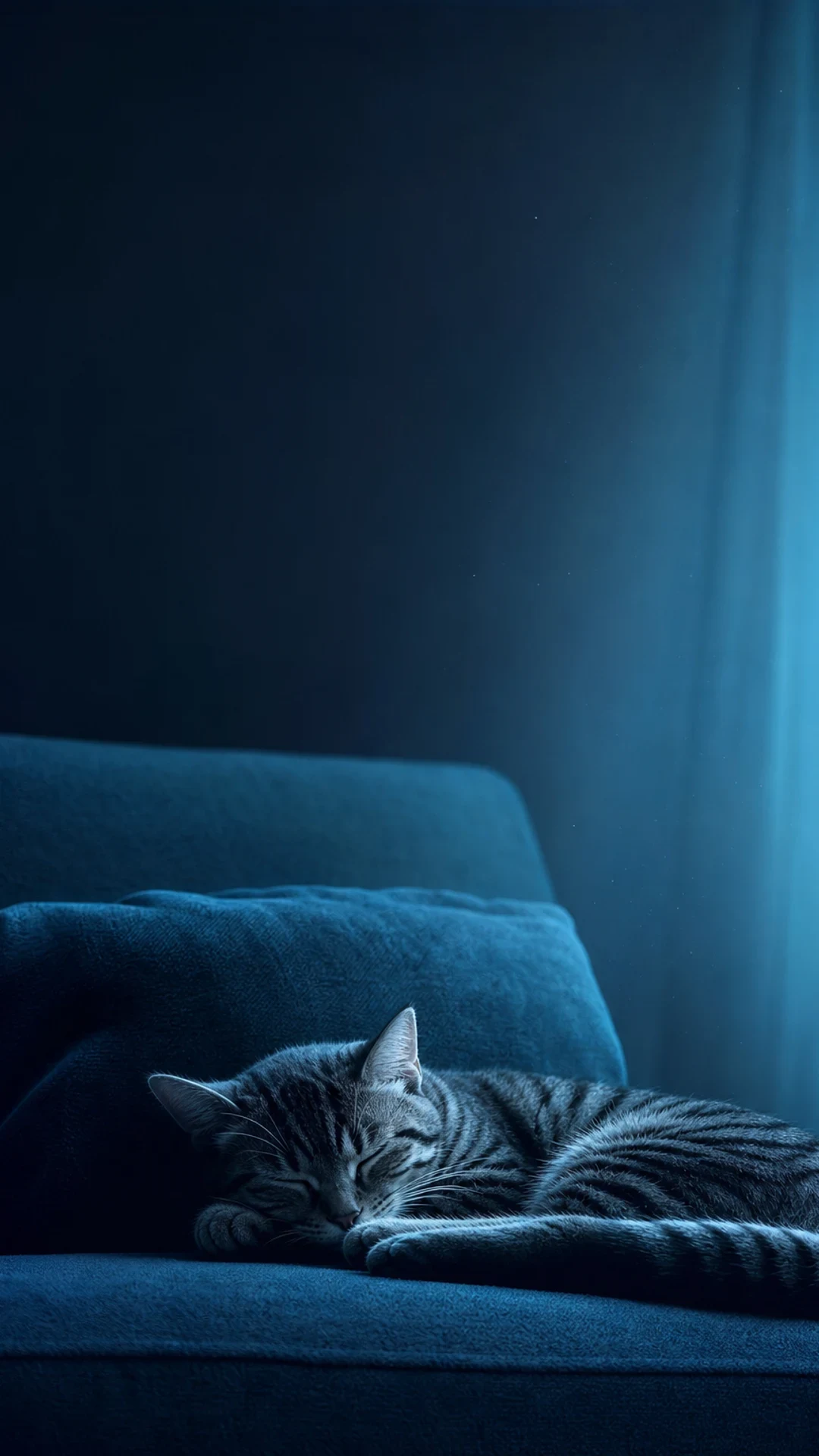 Blue Light